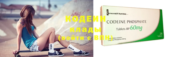 крисы Армянск