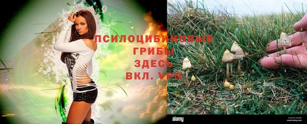 кокаин колумбия Арсеньев