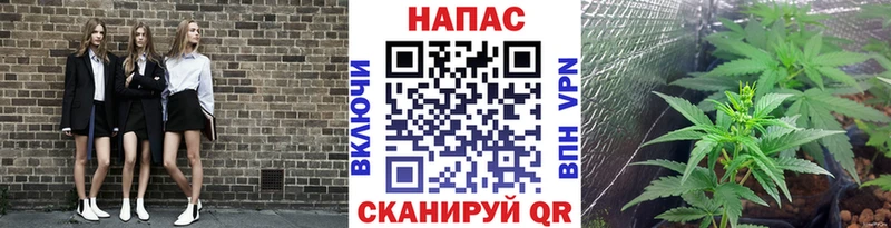 Каннабис план Пошехонье